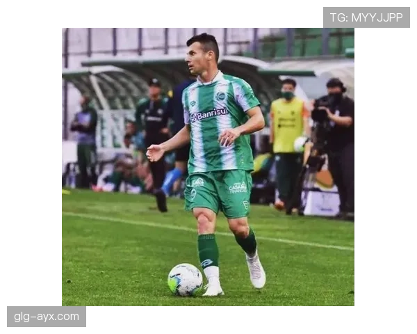 保加利亚队欧预赛状态回暖，球迷期待开启反弹之路