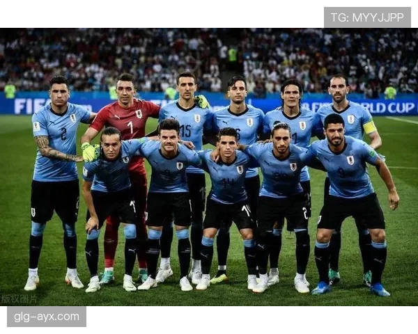 乌拉圭队防线稳固引关注，持续提升竞争力剑指未来赛事